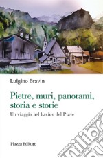 Pietre, muri, panorami, storia e storie. Un viaggio nel bacino del Piave libro