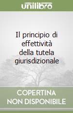 Il principio di effettività della tutela giurisdizionale