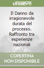 Il Danno da irragionevole durata del processo. Raffronto tra esperienze nazionali libro