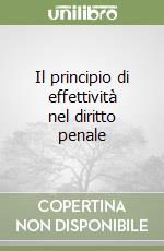 Il principio di effettività nel diritto penale libro