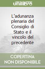 L'adunanza plenaria del Consiglio di Stato e il vincolo del precedente libro