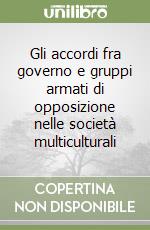 Gli accordi fra governo e gruppi armati di opposizione nelle società multiculturali libro