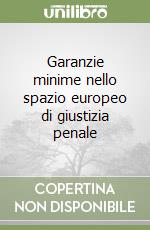 Garanzie minime nello spazio europeo di giustizia penale