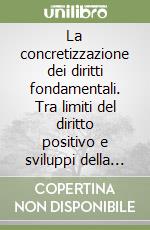 La concretizzazione dei diritti fondamentali. Tra limiti del diritto positivo e sviluppi della giurisprudenza costituzionale e di merito libro