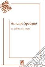 La collina dei sogni libro