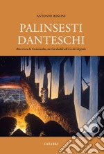 Palinsesti danteschi. Scrivere la commedia da Garibaldi all'età del digitale libro