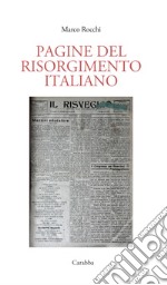 Pagine del Risorgimento italiano libro