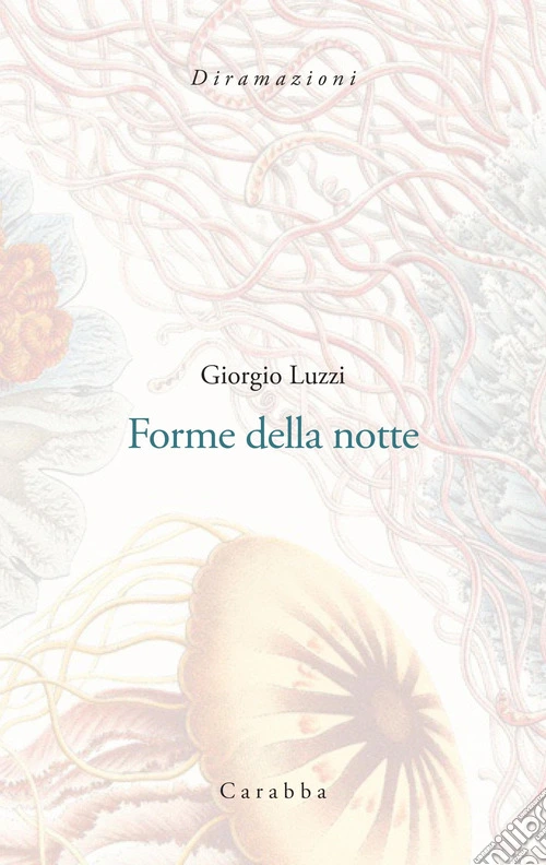 Forme della notte