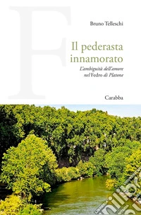 Il pederasta innamorato libro