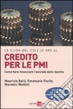 Credito per le PMI. Come farsi finanziare l'azienda dalle banche