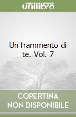 Un frammento di te. Vol. 7 libro