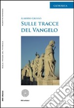 Sulle tracce del vangelo libro