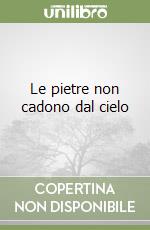 Le pietre non cadono dal cielo libro