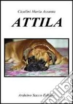 Attila libro