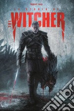 La storia di The witcher libro