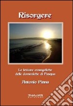 Risorgere. Le letture evangeliche delle domeniche di Pasqua libro