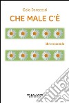 Che male c'è. Libro secondo libro di Baracetti Gaia