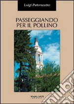 Passeggiando per il Pollino. Storia e arte di alcuni dei suoi centri abitati libro