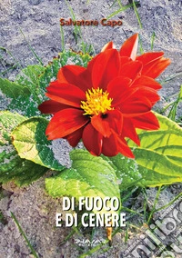Di fuoco e di cenere libro