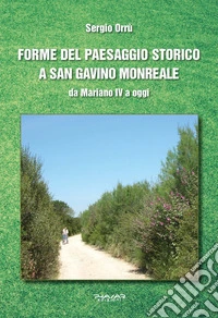 Forme del paesaggio storico a San Gavino Monreale. Da Mariano IV a oggi libro