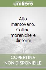 Alto mantovano. Colline moreniche e dintorni libro