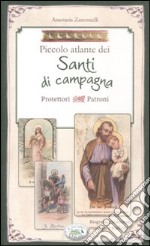 Piccolo atlante dei santi di campagna protettori patroni libro