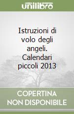 Istruzioni di volo degli angeli. Calendari piccoli 2013 libro