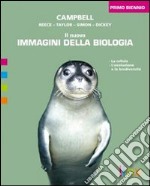 Nuovo Immagini Della Biologia (il) Primo Biennio Con Activebook (u) libro