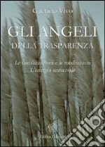 Angeli della trasparenza. Le canalizzazioni e le meditazioni. L'energia universale libro