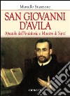 San Giovanni d'Avila apostolo dell'Andalusia e formatore di santi libro