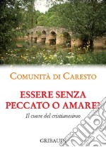 Essere senza peccato o amare? Il cuore del cristianesimo libro