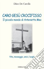 Caro Gesù crocifisso. Il piccolo mondo di Antonietta Meo. Vita, messaggio, amici, luoghi libro