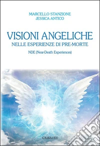 Visioni angeliche nelle esperienze di pre-morte. NDE (Near-Death Experiences) libro