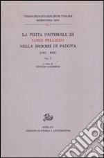 La visita pastorale di Luigi Pellizzo nella diocesi di Padova (1912-1921). Vol. 1 libro