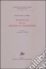 Sinossi della diocesi di Policastro