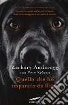 Quello che ho imparato da Riley libro di Anderegg Zachary Nelson Pete