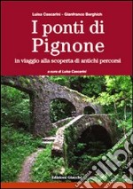 I ponti di Pignone. In viaggio alla scoperta di antichi percorsi. Ediz. illustrata