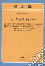 Il mandato. La gestione dell'interesse altrui tra momento statico dell'«atto» e prospettiva dinamica dell'«attività» libro