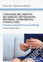 I processi del diritto di famiglia: separazione, divorzio, affidamento, unioni civili. Normativa, giurisprudenza, procedimenti