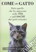 Come un gatto. Tutto quello che ho imparato sulla vita e sull'amore dai gatti selvatici libro