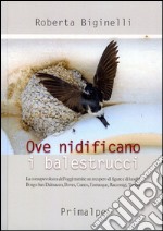 Ove nidificano i balestrucci. La consapevolezza dell'oggi tramite un recupero di figure e di luoghi: Borgo san Dalmazzo, Boves, Cuneo, Entracque, Racconigi, Torino