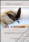 Ove nidificano i balestrucci. La consapevolezza dell'oggi tramite un recupero di figure e di luoghi: Borgo san Dalmazzo, Boves, Cuneo, Entracque, Racconigi, Torino libro di Biginelli Roberta