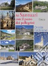 Ai Santuari con il passo dei pellegrini libro