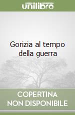 Gorizia al tempo della guerra libro