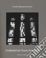 Industrial sanctuaries. Ediz. illustrata libro