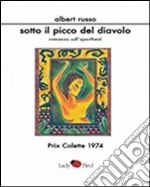 Sotto il picco del diavolo libro