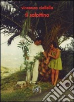 Il salottino libro