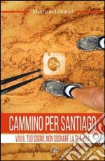 Cammino per Santiago. Vivi il tuo sogno, non sognare la tua vita libro