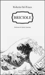 Briciole libro