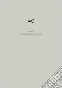 Reimondo. Cromofonetica. Catalogo della mostra (Milano, 26 maggio-15 luglio 2016). Ediz. multilingue libro